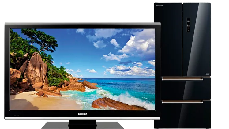Сервисный центр Toshiba в Брянске